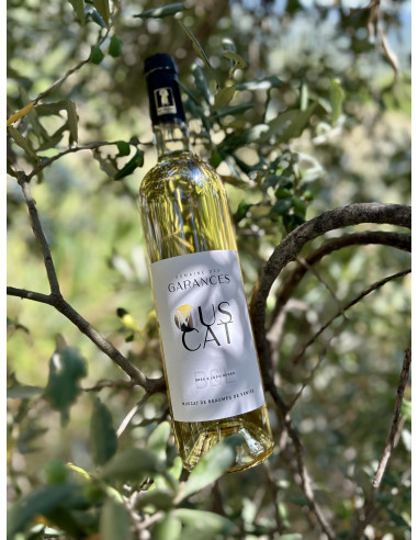 MUSCAT DE BEAUMES DE VENISE 2023