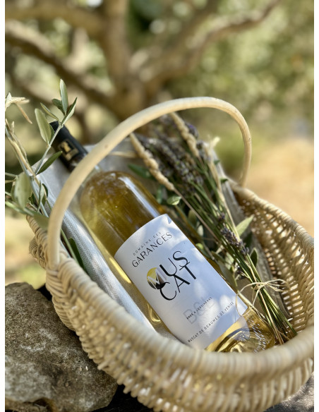 MUSCAT DE BEAUMES DE VENISE 2023