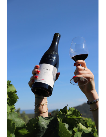 BEAUMES DE VENISE PIERRE 2022