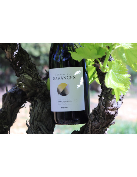IGP VAUCLUSE RACINES 2023