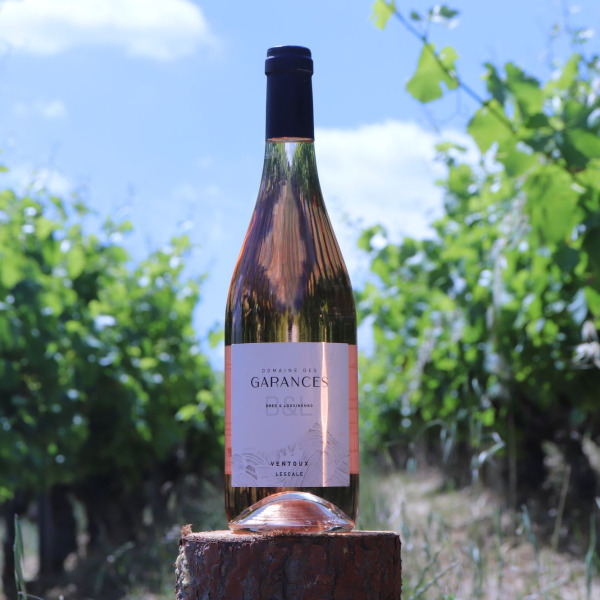 Lescale Blanc 2024 et Lescale Rosé 2024 : nos nouveaux millésimes célèbrent le printemps !