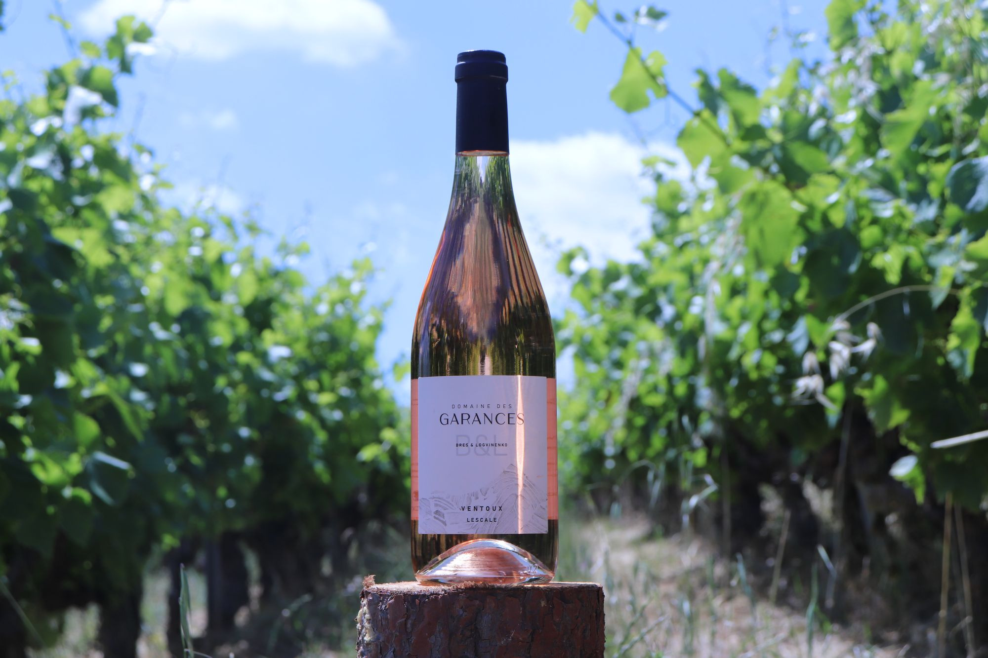 Lescale Blanc 2024 et Lescale Rosé 2024 : nos nouveaux millésimes célèbrent le printemps !